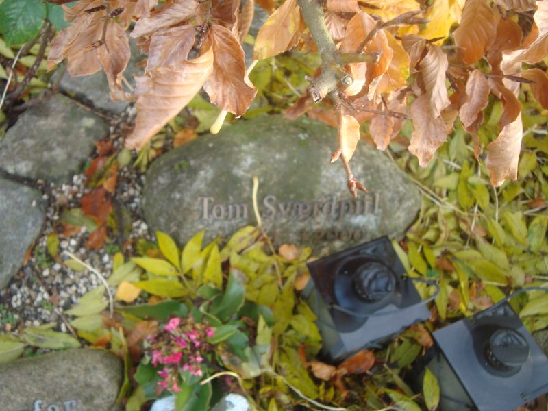 Tom Svaerdpiil.JPG